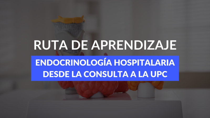 Ruta de Aprendizaje - Endocrinología Hospitalaria Desde la Consulta a la UPC