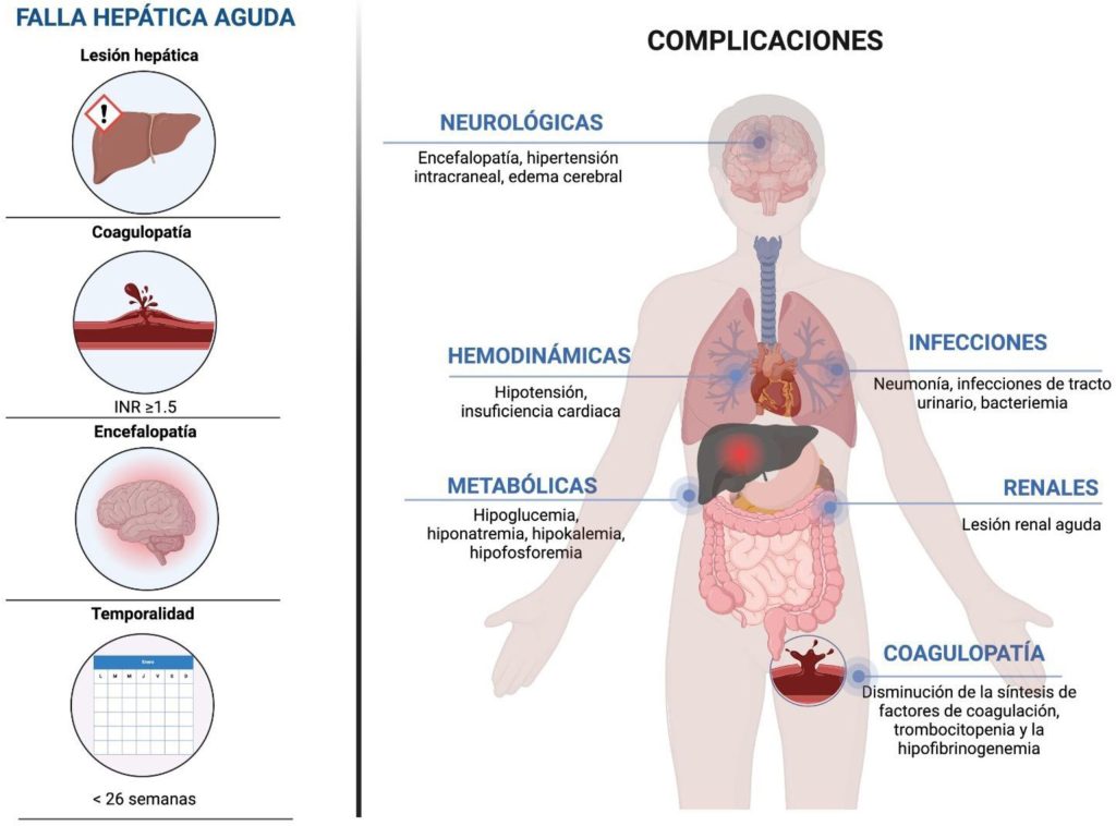 estrategias-de-manejo-para-la-disfuncion-hepatica-en-pacientes-diabeticos