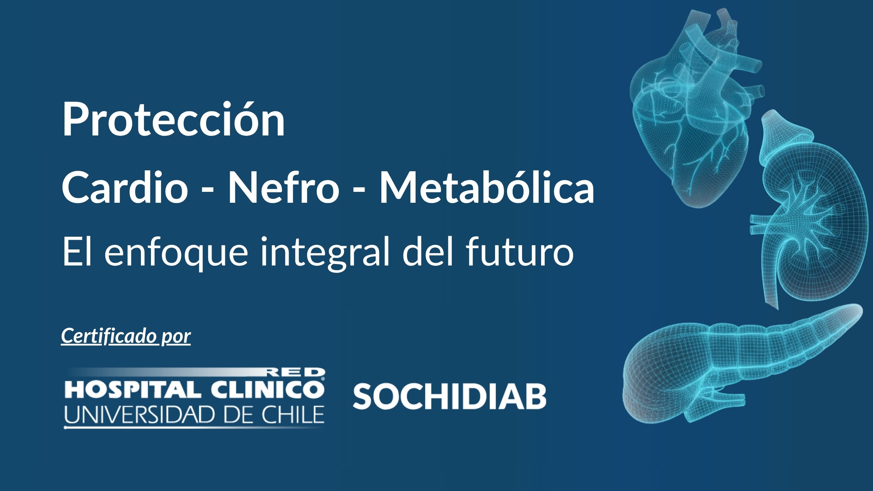 Protección cardiovascular-reno-metabólica. El enfoque integral del futuro